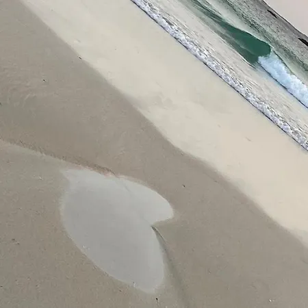 Con Vistas Al Mar, Playa De Carnota!